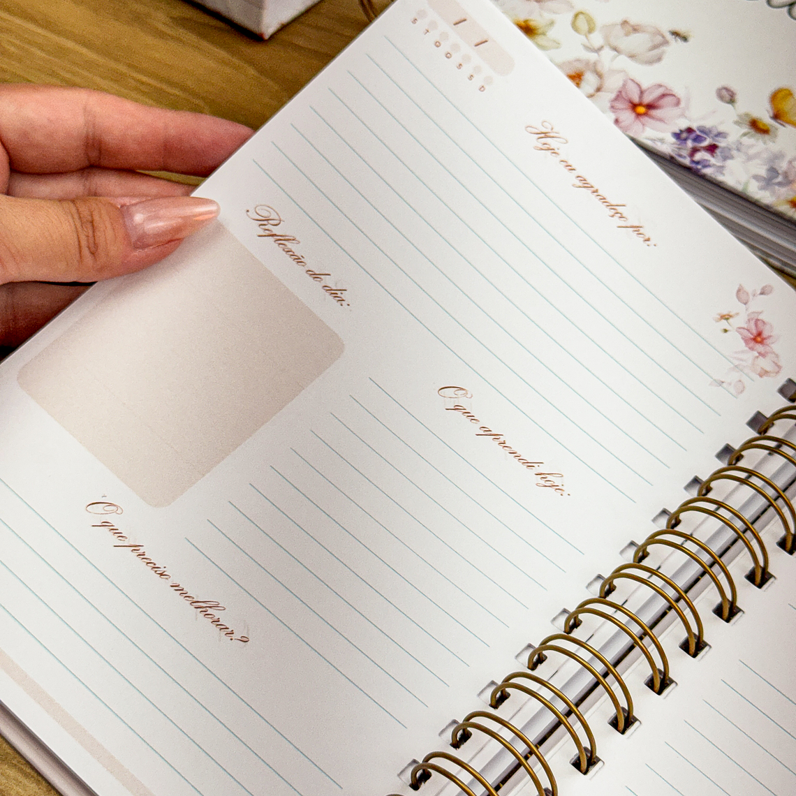 Arquivo Caderno da Gratidão 5