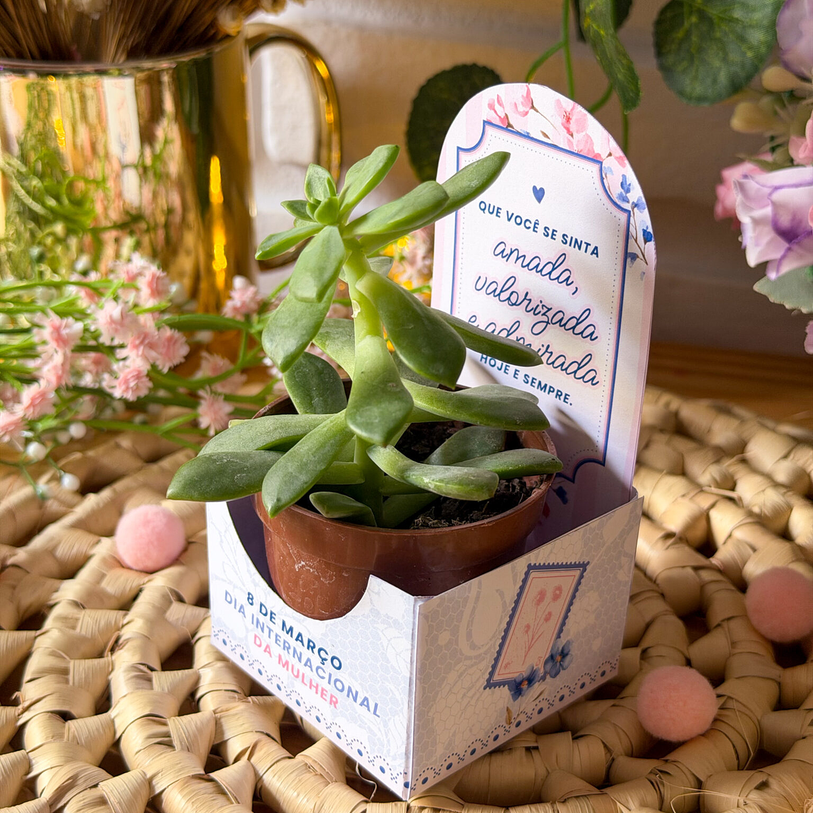 Coleção digital Dia da Mulher 2026 18