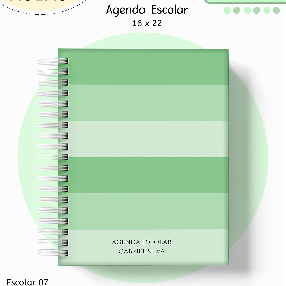 Arquivo Encadernação Kit Escolar - Verde Neutro 11