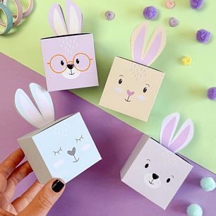 Arquivo Caixa Coelho