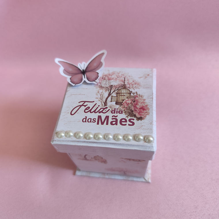 Arquivo Coleção Amor de Mãe  4