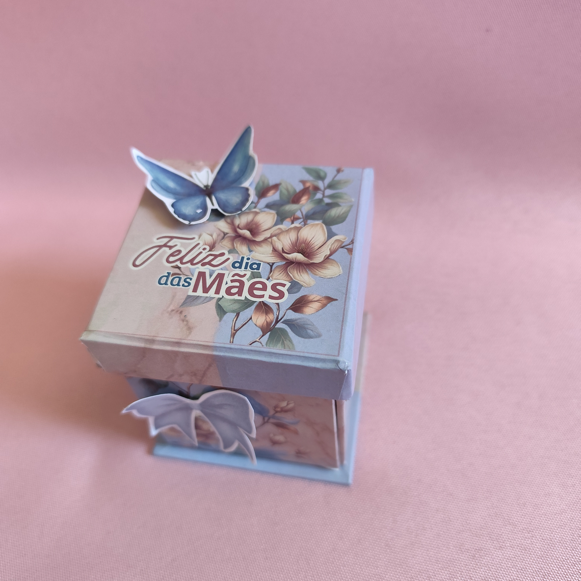 Arquivo Coleção Amor de Mãe  6