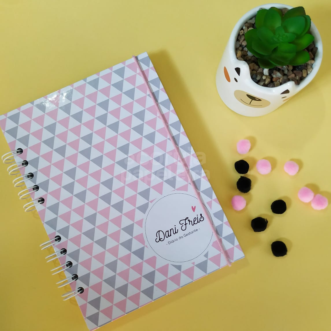 Arquivo Digital Diário da Gestante 1