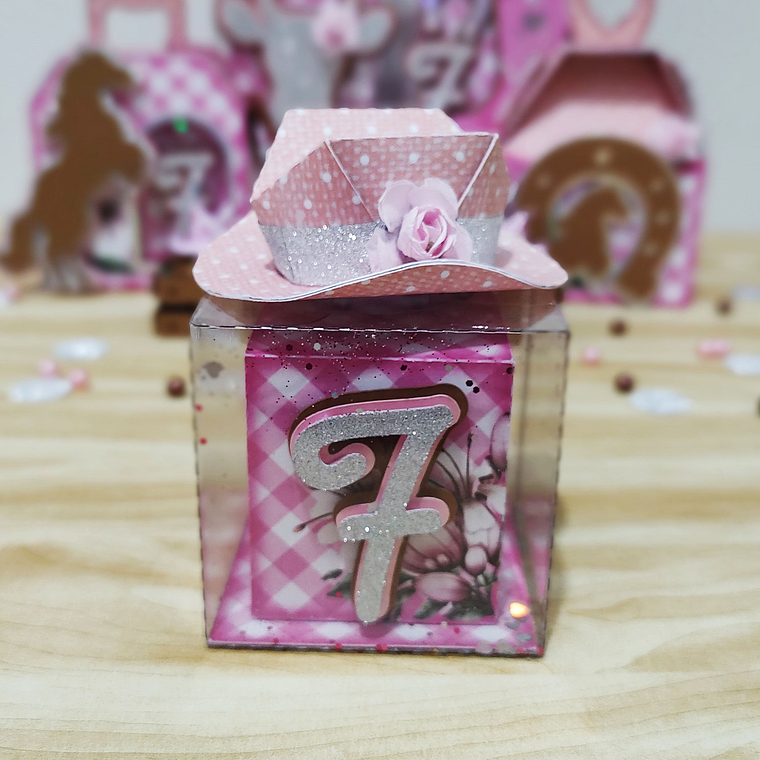 Arquivo de Corte Boiadeira  3