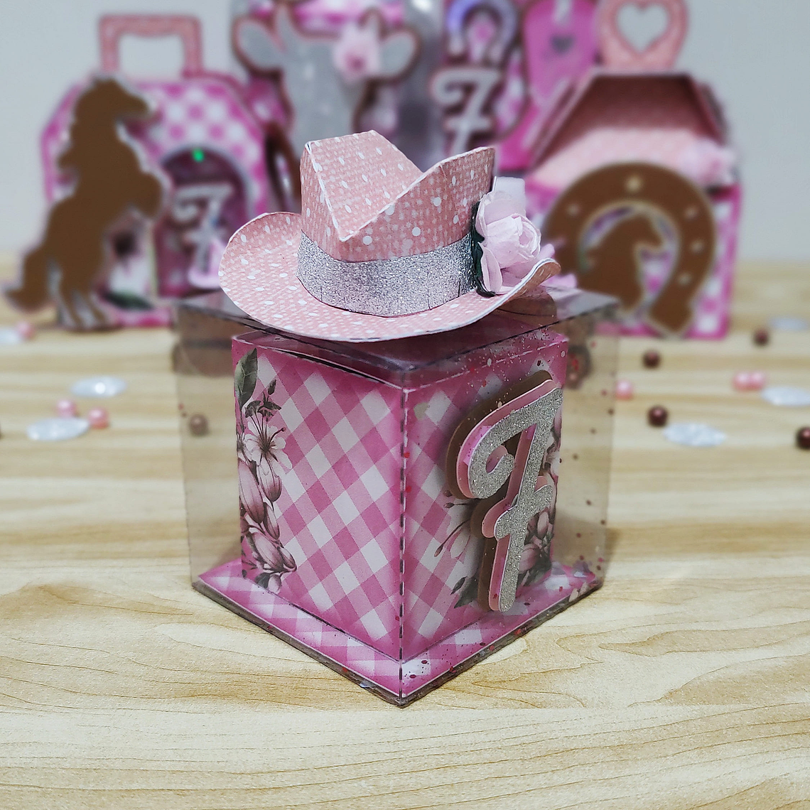 Arquivo de Corte Boiadeira  4