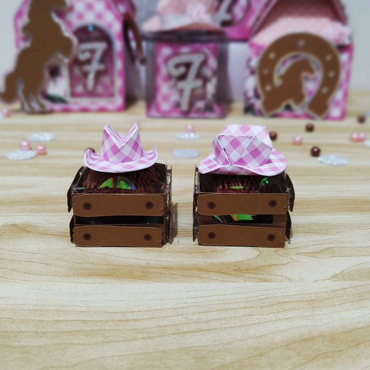 Arquivo de Corte Boiadeira  6