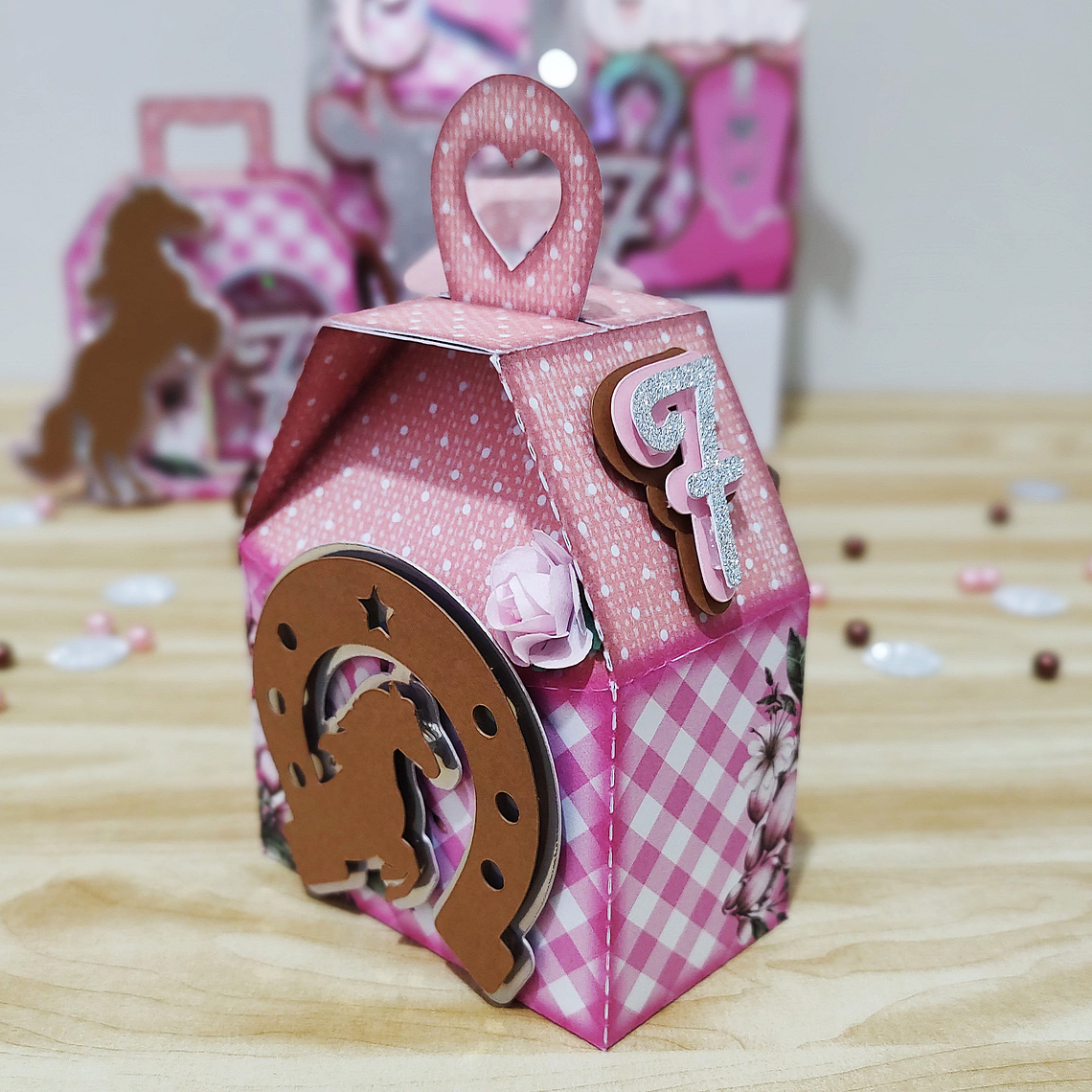 Arquivo de Corte Boiadeira  8