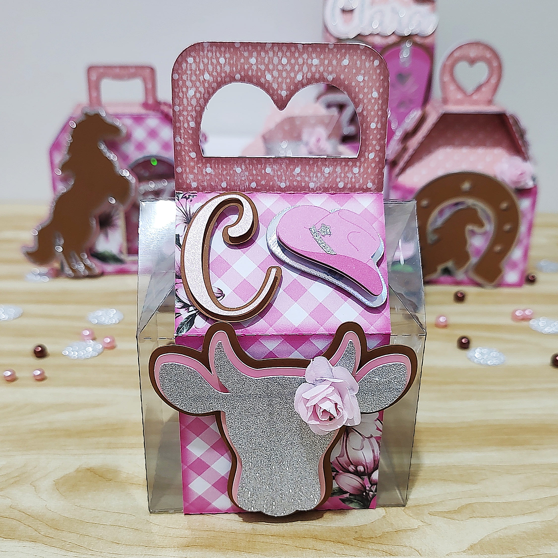 Arquivo de Corte Boiadeira  10