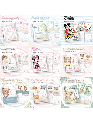 Pack Arquivos Cadernetas de Vacinas - 32 temas 