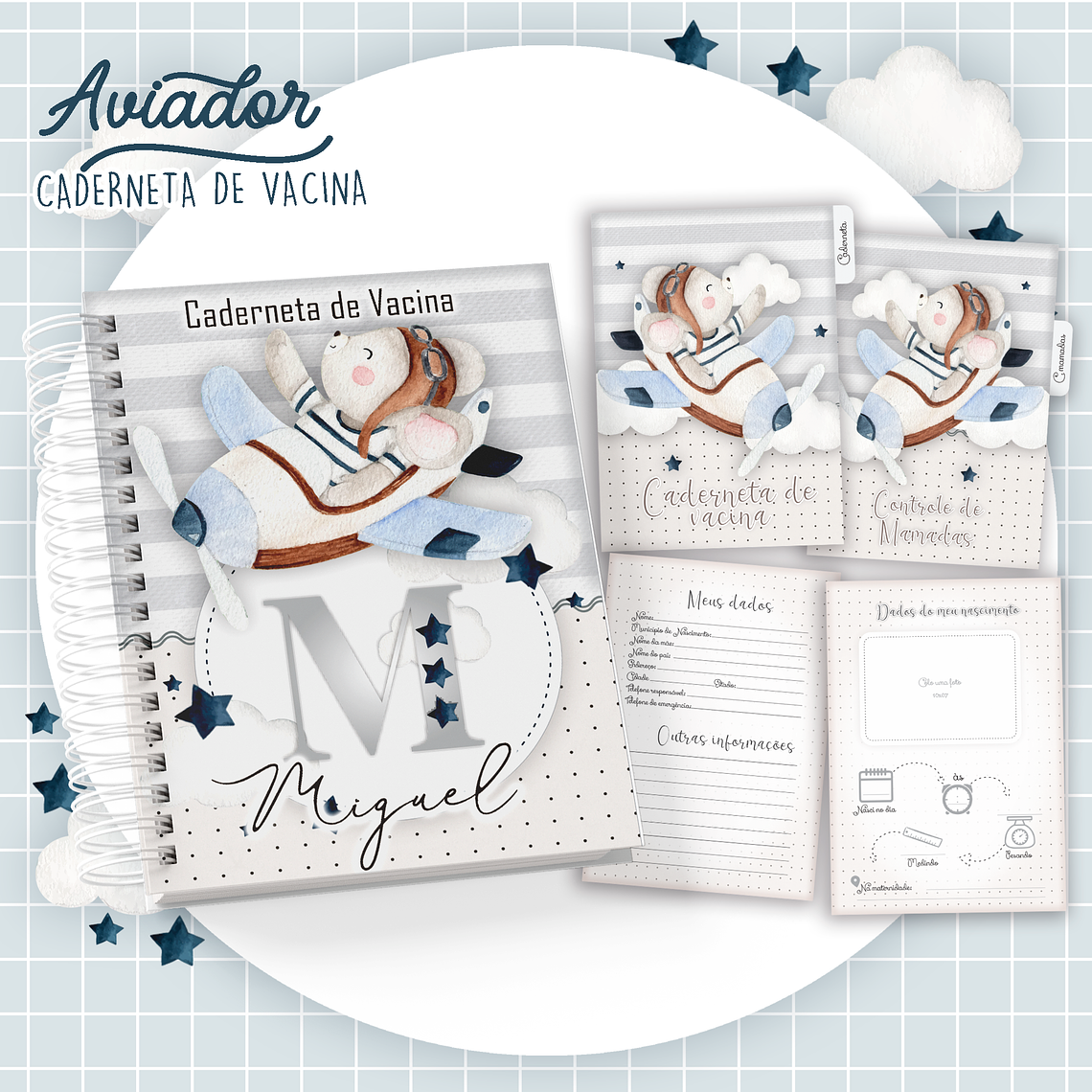 Arquivo Caderneta de Vacina Aviador  1