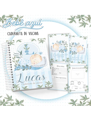 Arquivo Caderneta de Vacina Bebê azul