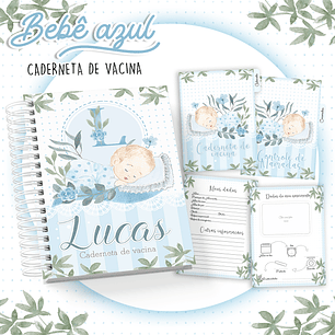 Arquivo Caderneta de Vacina Bebê azul