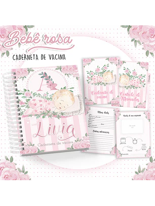 Arquivo Caderneta de Vacina Bebê Rosa