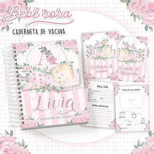 Arquivo Caderneta de Vacina Bebê Rosa
