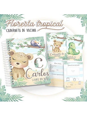 Arquivo Caderneta de Vacina Floresta Tropical 