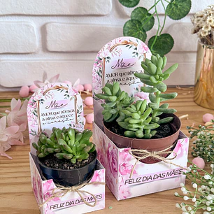 Arquivo de Corte Porta Suculentas - 2 tamanhos - Dia das Mães