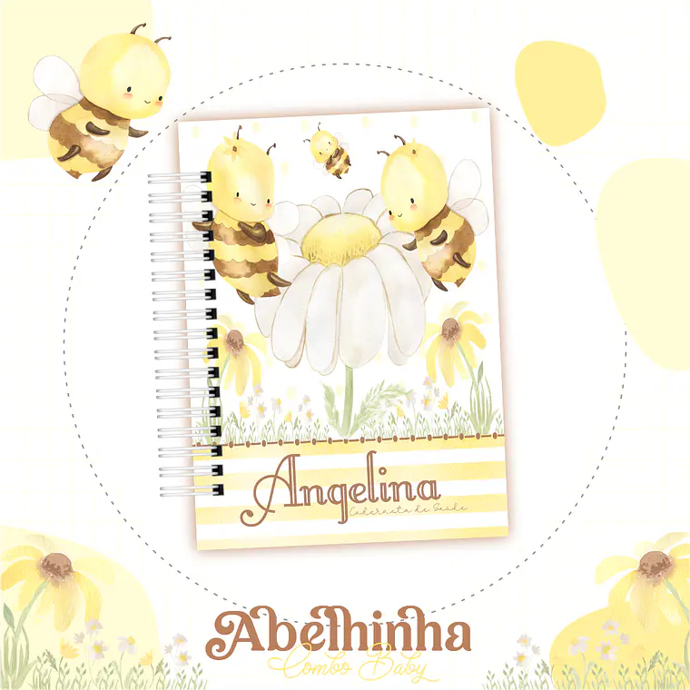 Combo 25 kits Cadernetas + Livros do bb 23