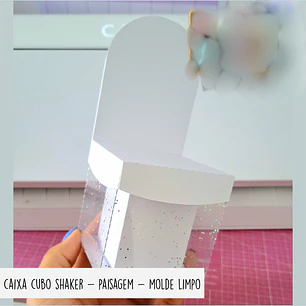 Molde Limpo Caixa Cubo Shaker - Cenário