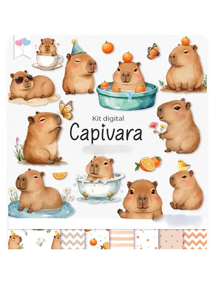 Kit Digital Capivara
