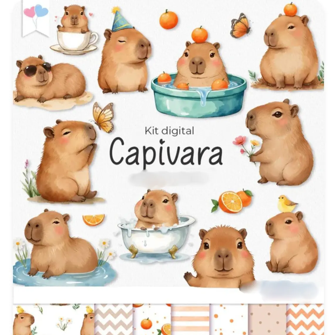 Kit Digital Capivara 1