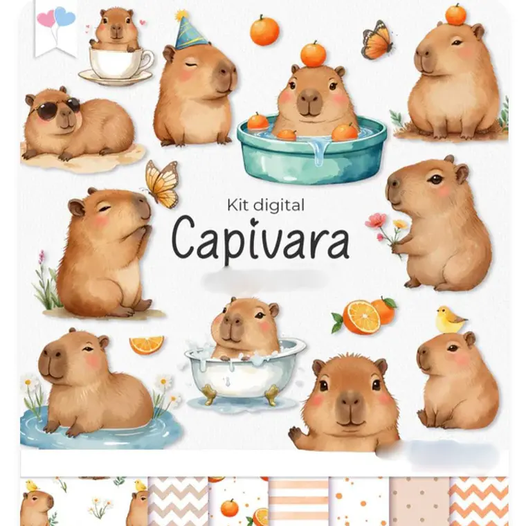 Kit Digital Capivara 1