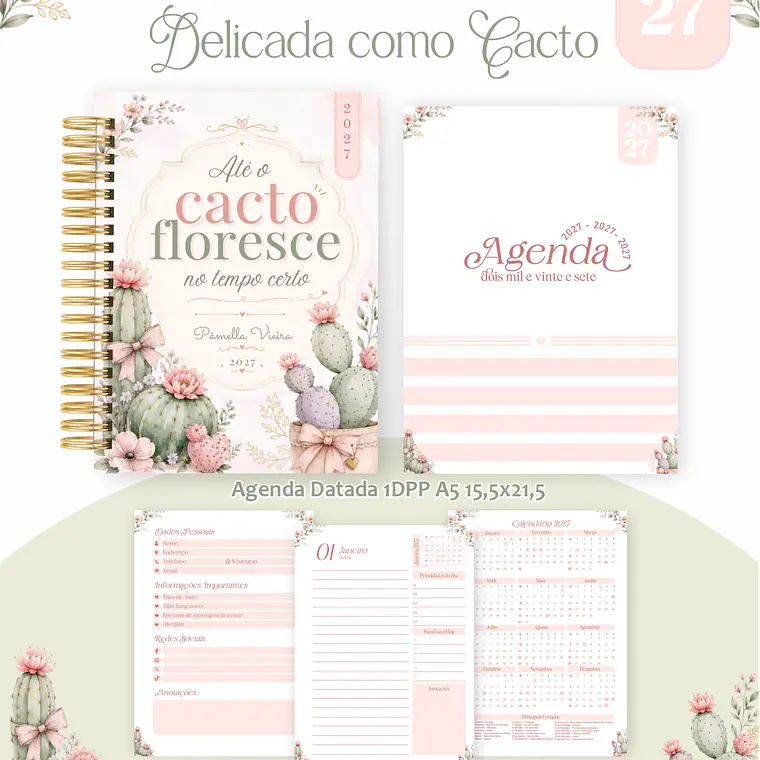Big Pack Arquivo Coleções Encadernação 2027 6