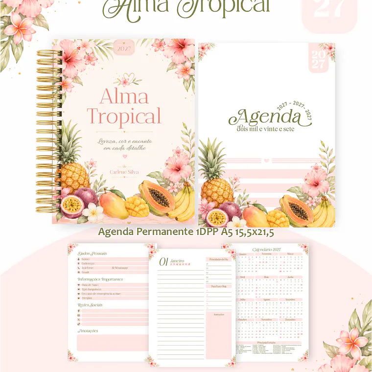 Big Pack Arquivo Coleções Encadernação 2027 14