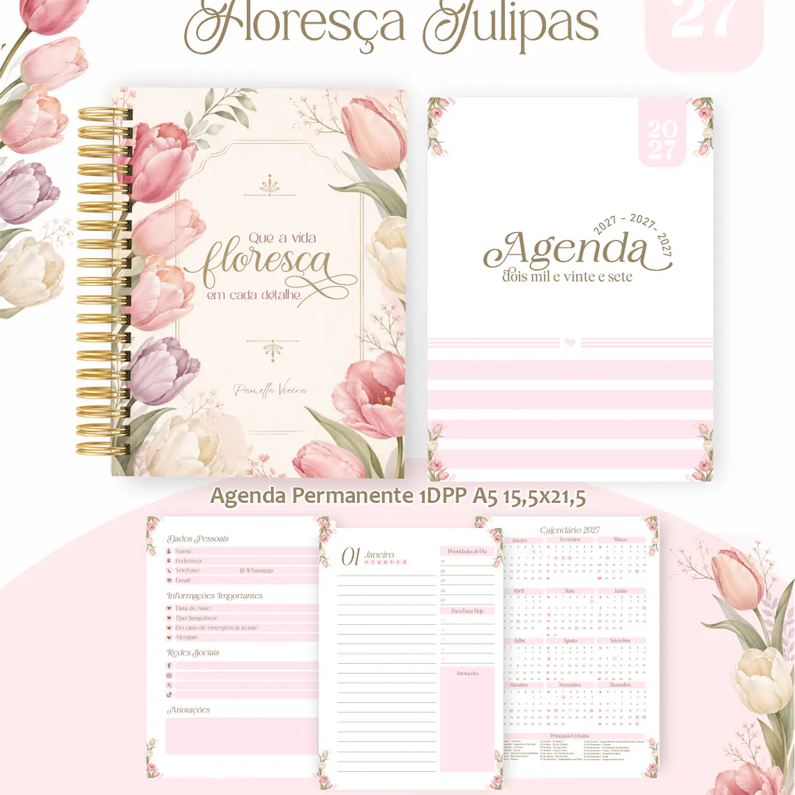 Big Pack Arquivo Coleções Encadernação 2027 15