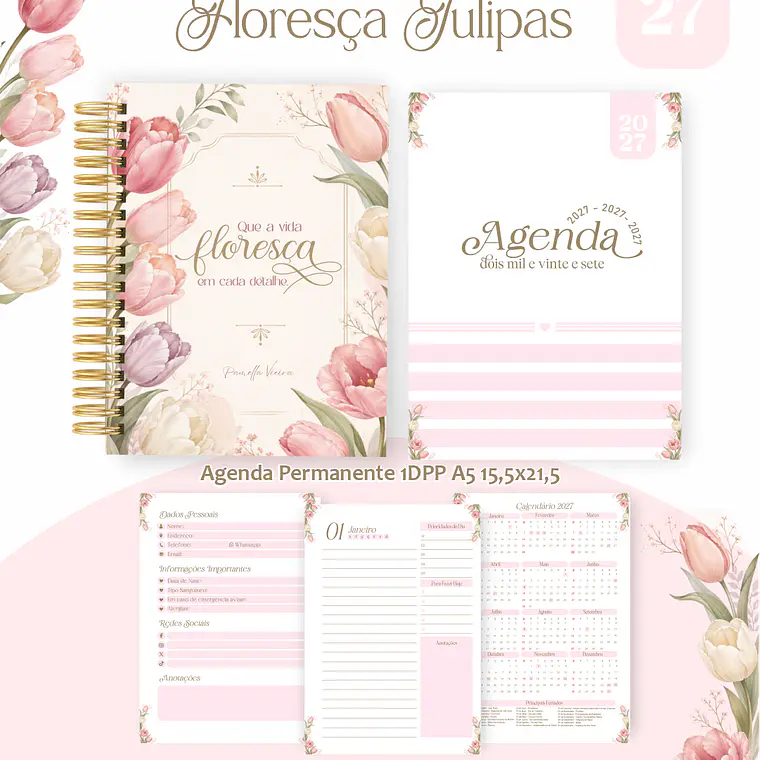 Big Pack Arquivo Coleções Encadernação 2027 15