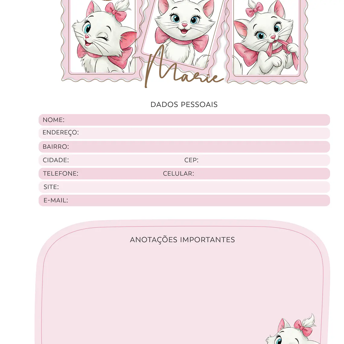 Arquivo 2027 Coleção Encadernação Vintage Marie 5