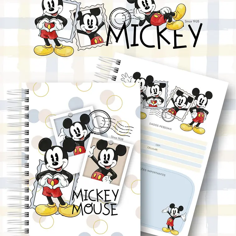 Arquivo 2027 Coleção Encadernação Vintage Mickey 1
