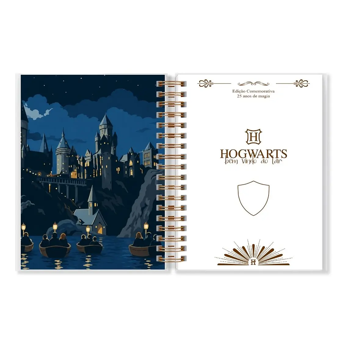 Arquivo Coleção Harry Potter 2027 6
