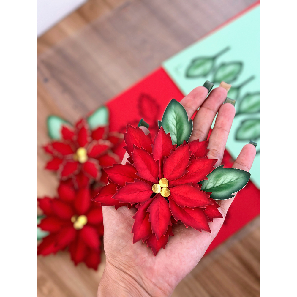 Arquivo de Corte Flor de Natal