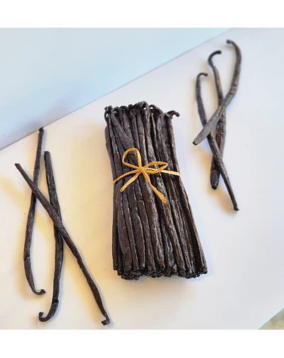 Vainas de vainilla Norohy