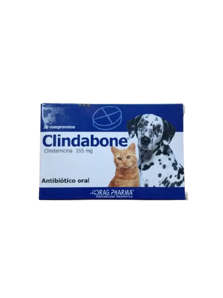 Clindabone 165mg - 20 comprimidos  1