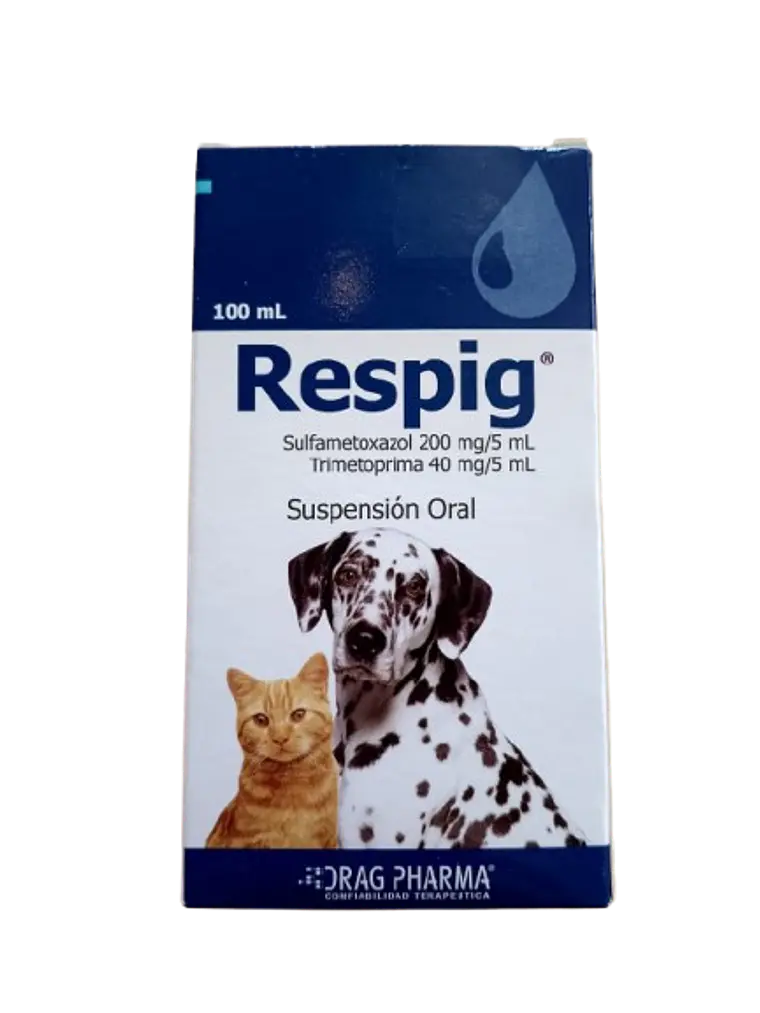 Respig - Suspensión oral 100ml 1