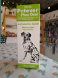 Petever Plus Oral- Solución oral para perros 100ml - Miniatura 2