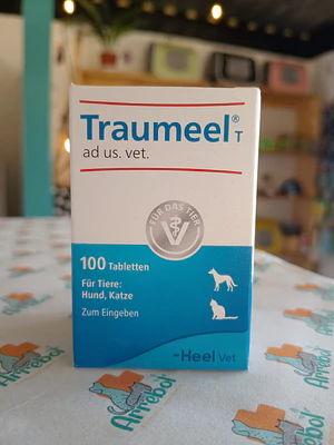 Traumeel - 100 comprimidos 