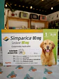 Simparica 20 - 40kg - 1 comprimido masticable - Miniatura 2