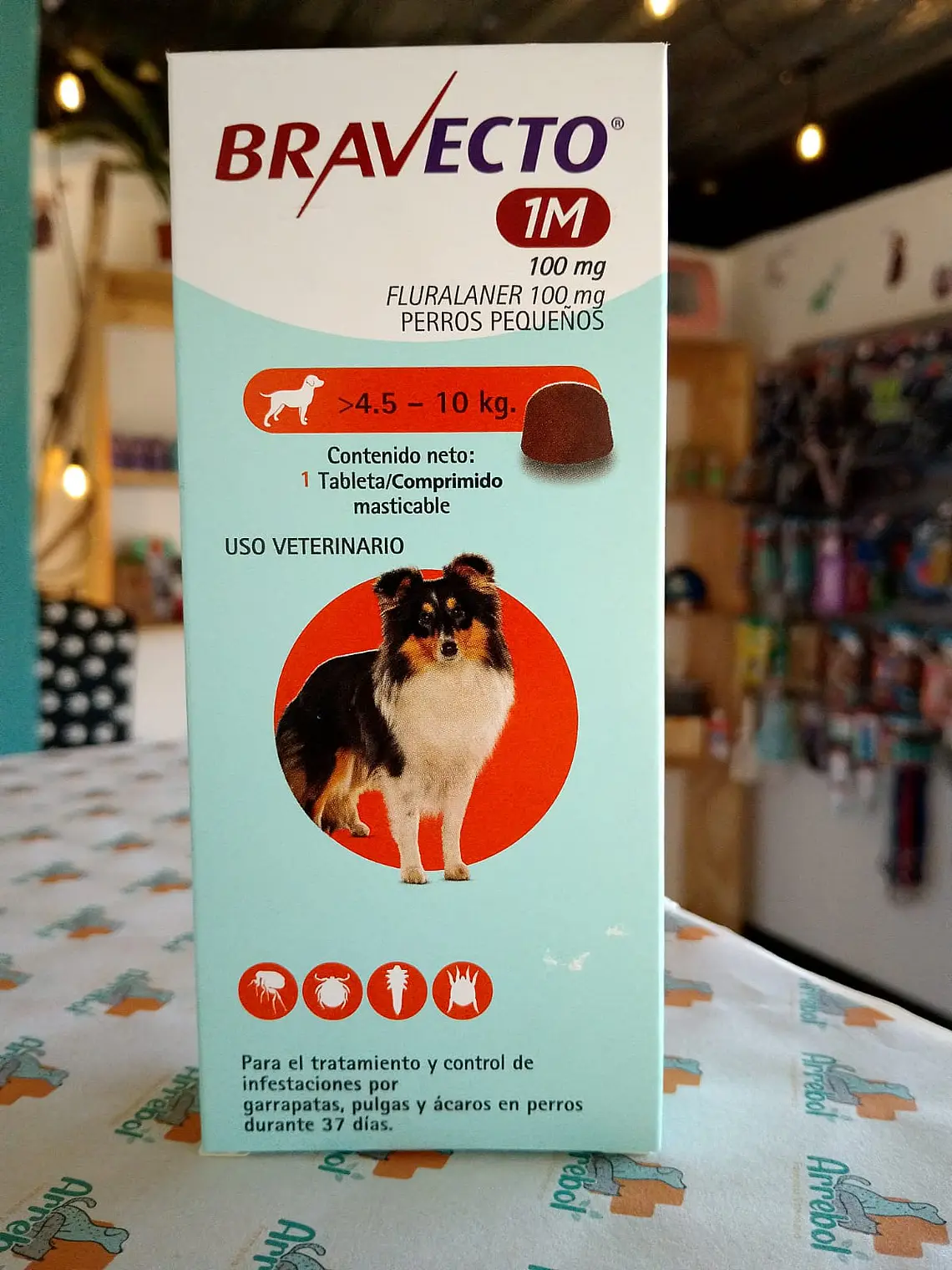 Bravecto > 4.5- 10 kg - Antiparasitario externo 1 comprimido  2