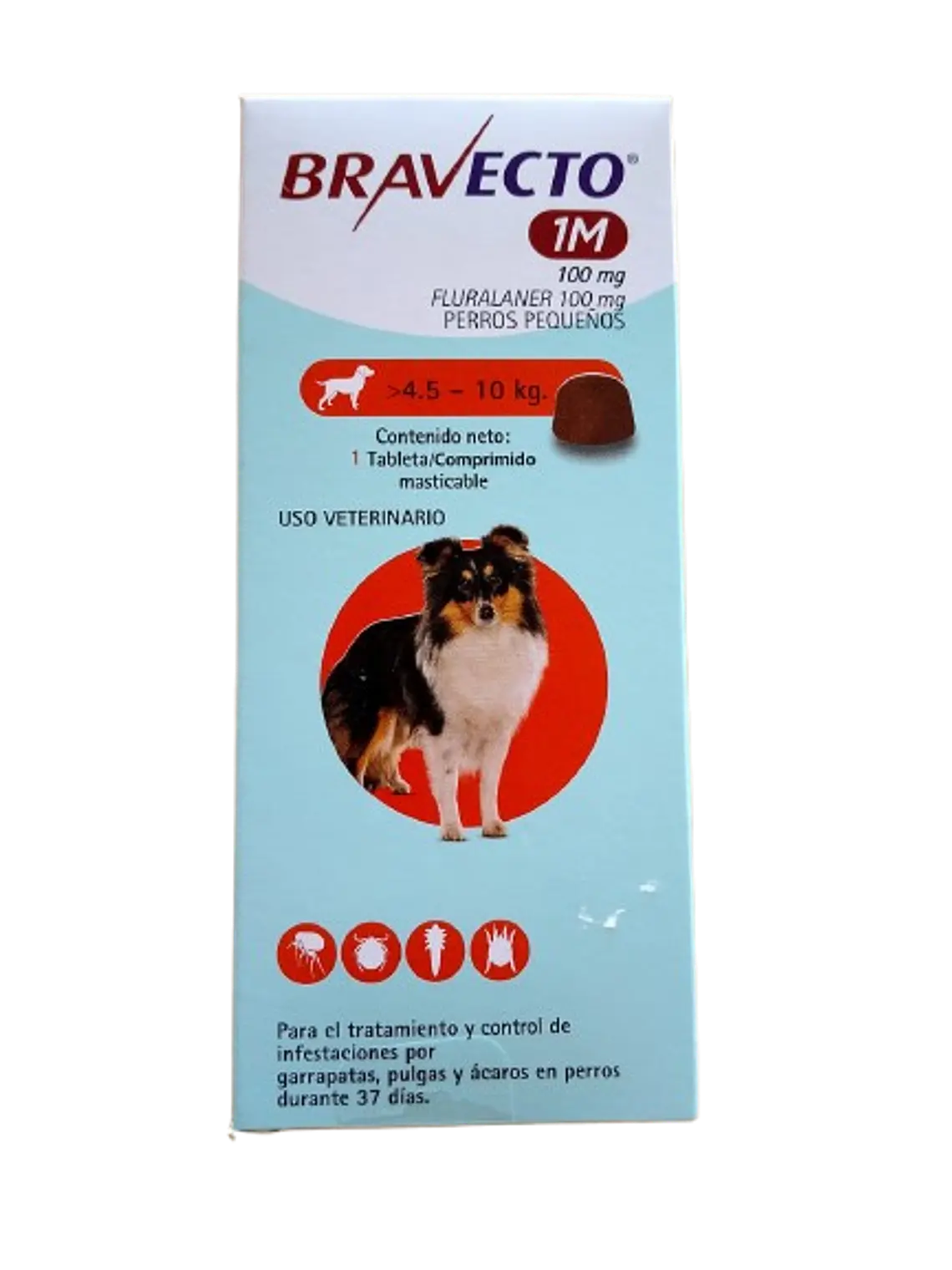 Bravecto > 4.5- 10 kg - Antiparasitario externo 1 comprimido  1