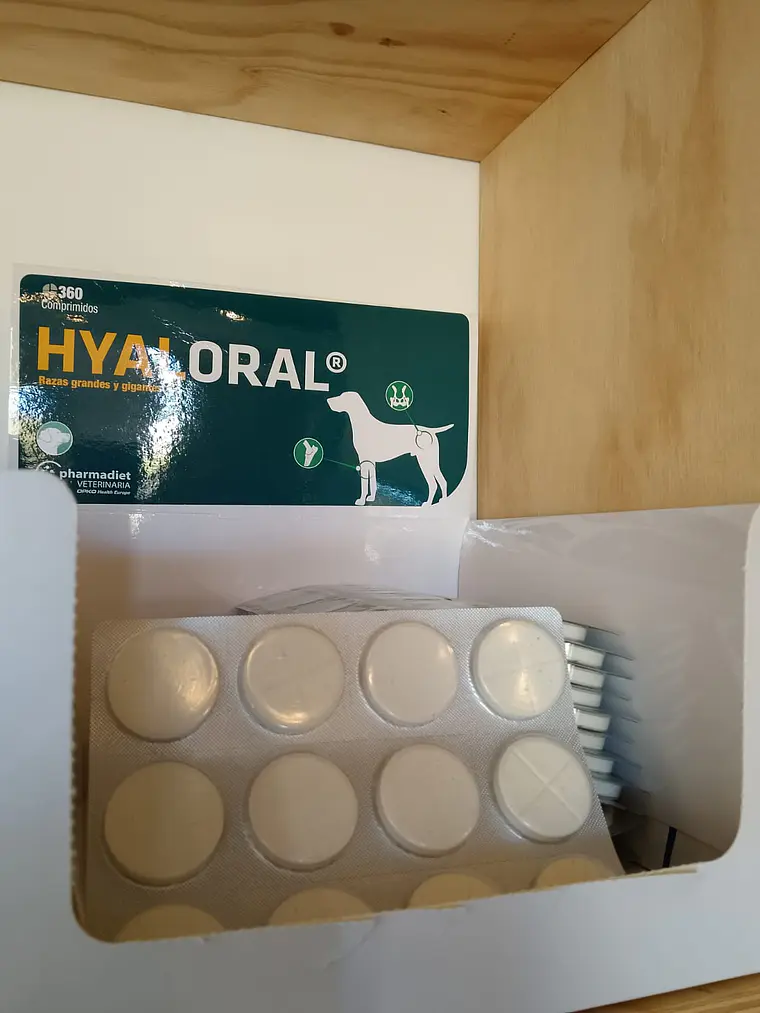 HyalOral razas grandes y gigantes - 12 comprimidos 2