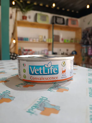 Vetlife felino convalescence - Lata 85g