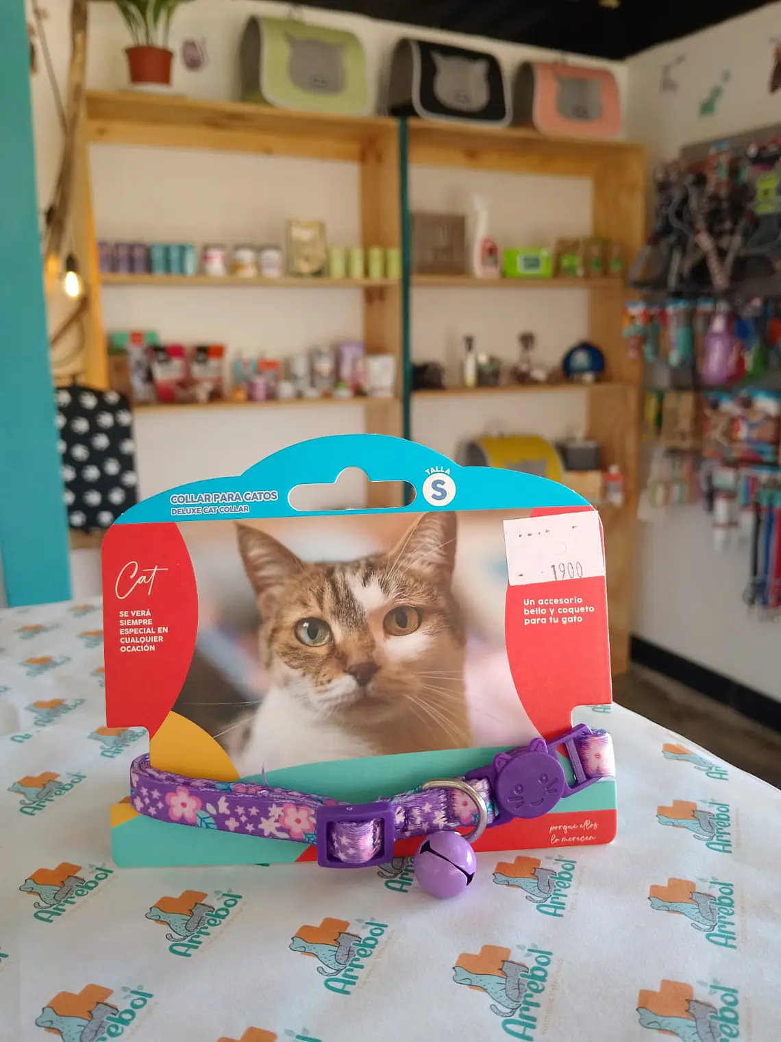 Collar para gatos - Talla S 2