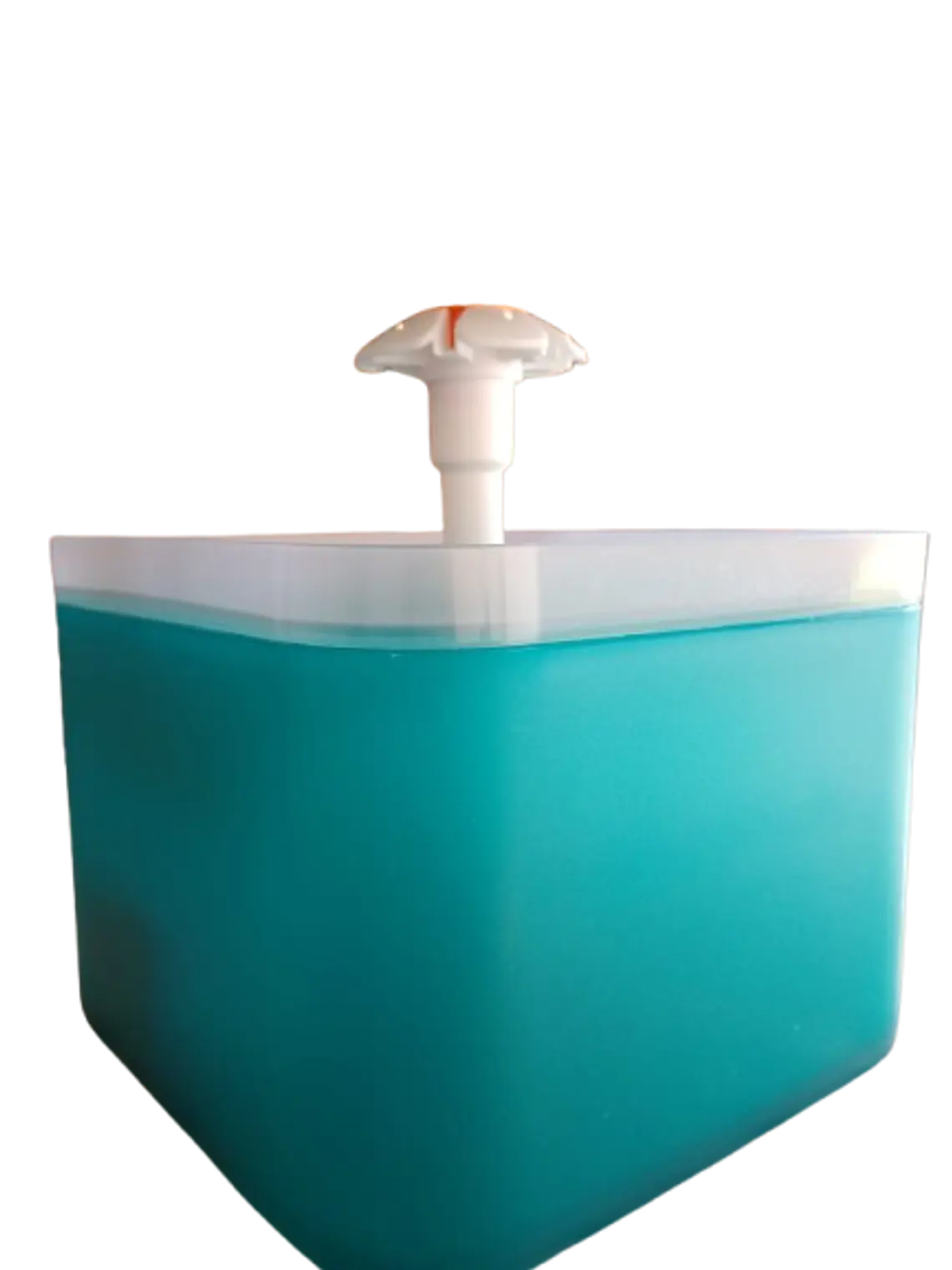 Fuente de agua para mascotas 1