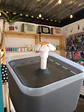 Fuente de agua para mascotas - Miniatura 6