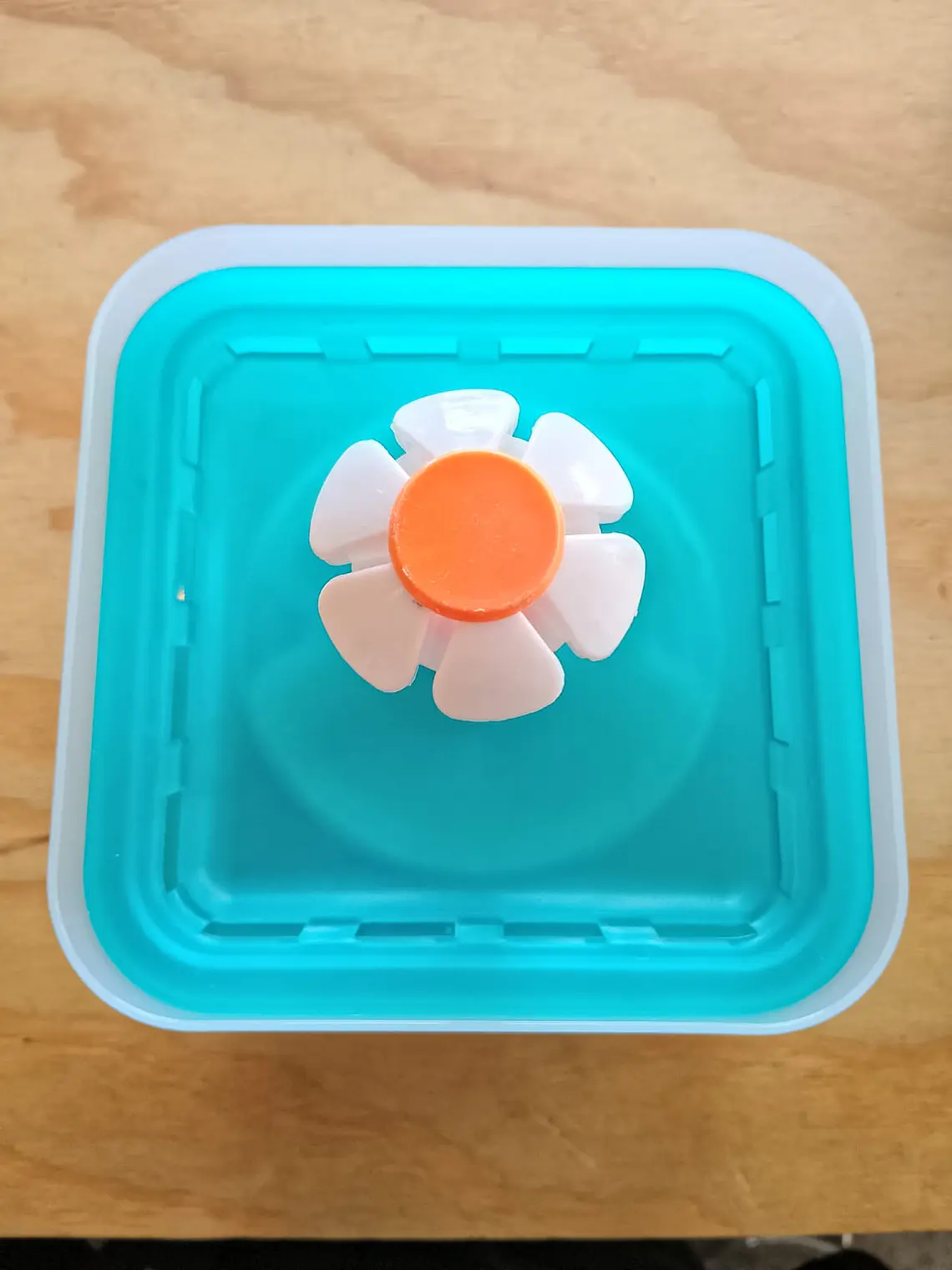 Fuente de agua para mascotas 3