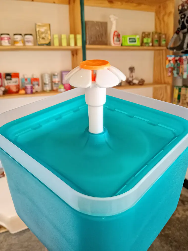 Fuente de agua para mascotas 4