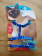Set Arnés + Correa Ajustable para Gato (Talla S)  - Miniatura 3