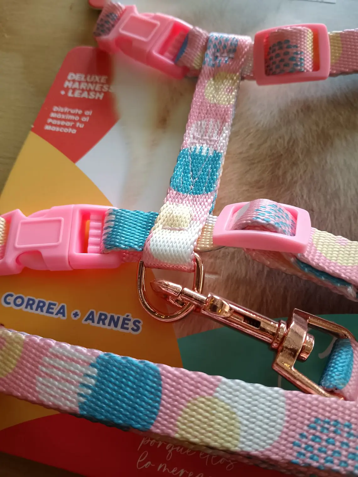 Set Arnés + Correa Ajustable para Gato (Talla M)  2
